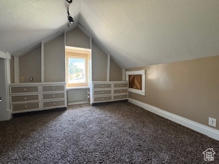 Bonus room featuring vaulted ceiling, carpet, and a textured ceiling
