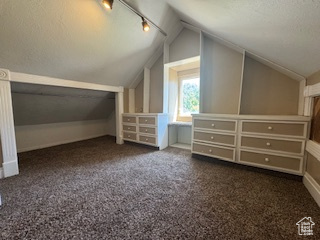 Bonus room with lofted ceiling and carpet