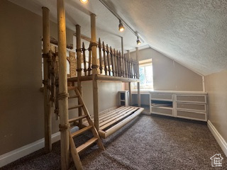 Additional living space with lofted ceiling, a textured ceiling, and carpet floors