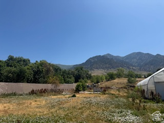 View of mountain background