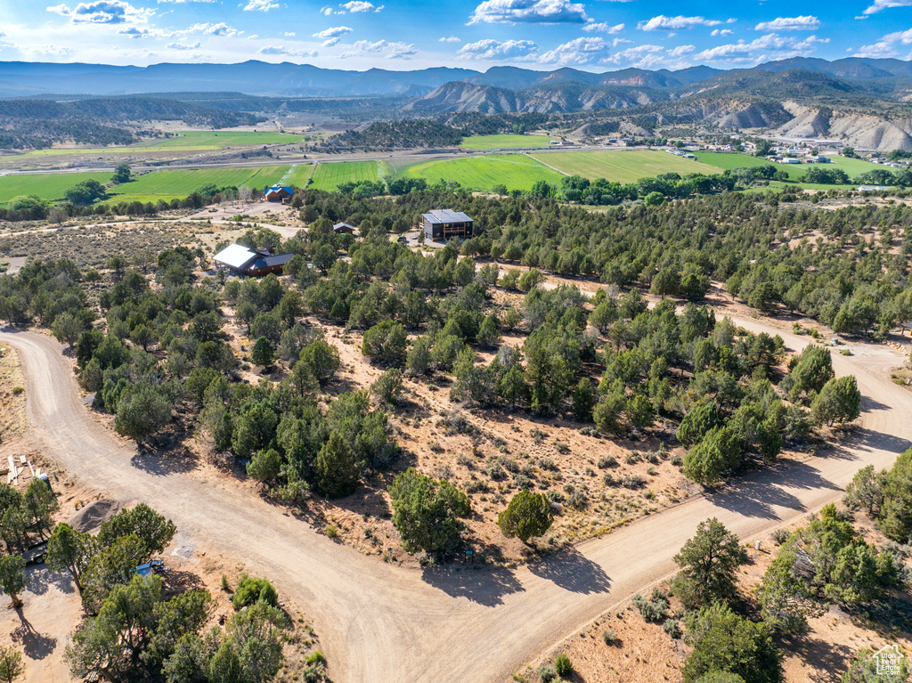 35  PRICKLEY PEAR/PINYON PINE DR