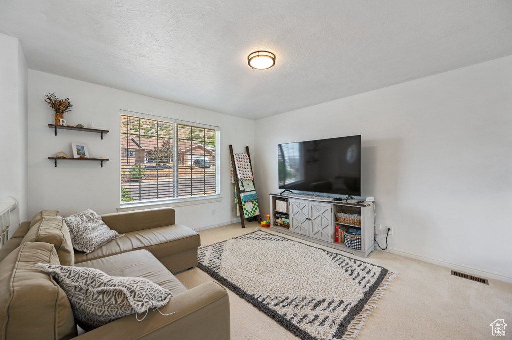 Living area with carpet floors, baseboards, visible vents, and a textured ceiling