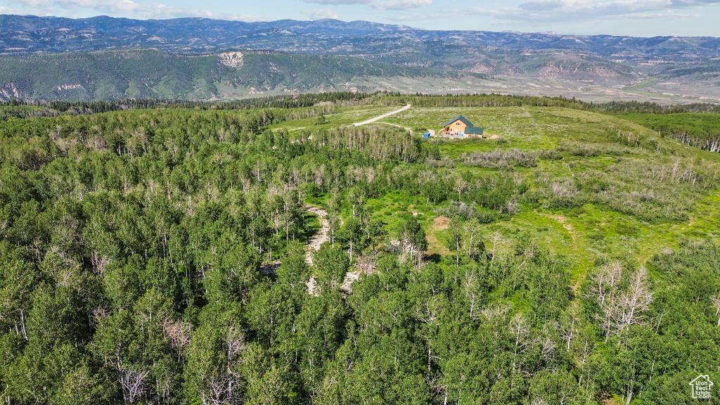 17899 S SNOWBIRD DR Spanish Fork, UT 84660