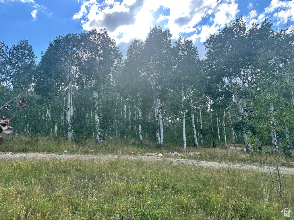17899 S SNOWBIRD DR Spanish Fork, UT 84660