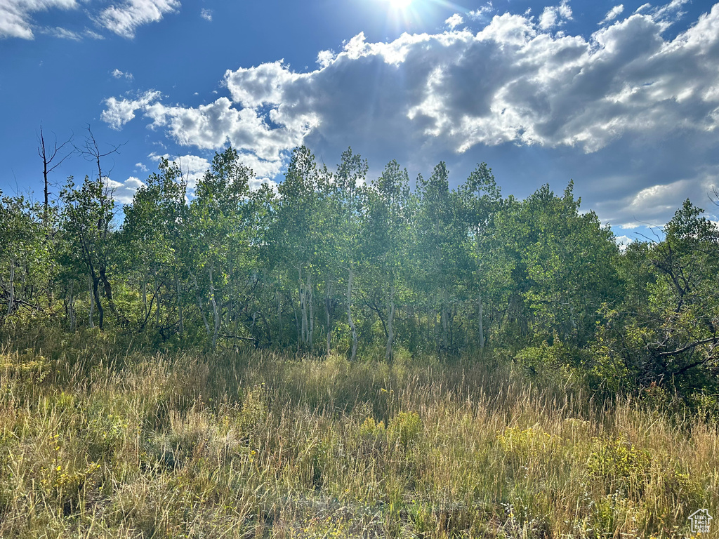 17899 S SNOWBIRD DR Spanish Fork, UT 84660