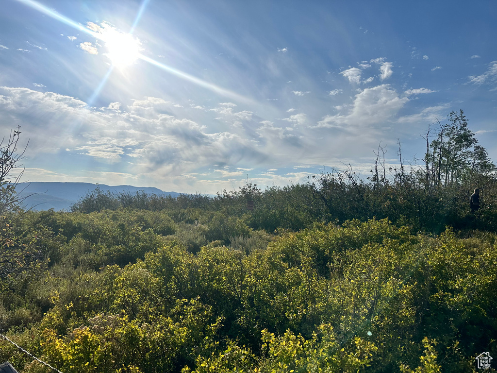 17899 S SNOWBIRD DR Spanish Fork, UT 84660