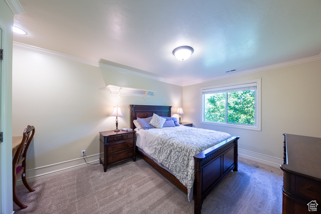 Bedroom with crown molding and carpet flooring