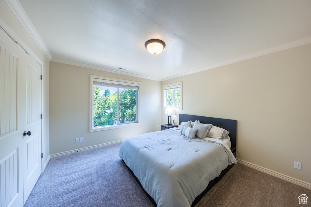 Carpeted bedroom featuring ornamental molding and baseboards
