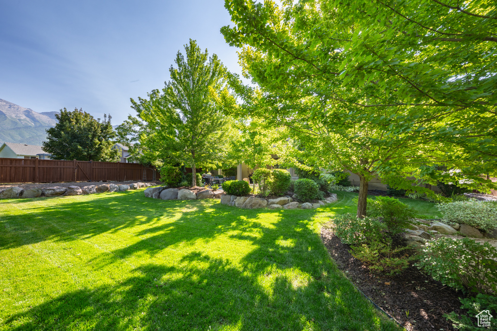 View of yard featuring a mountain view