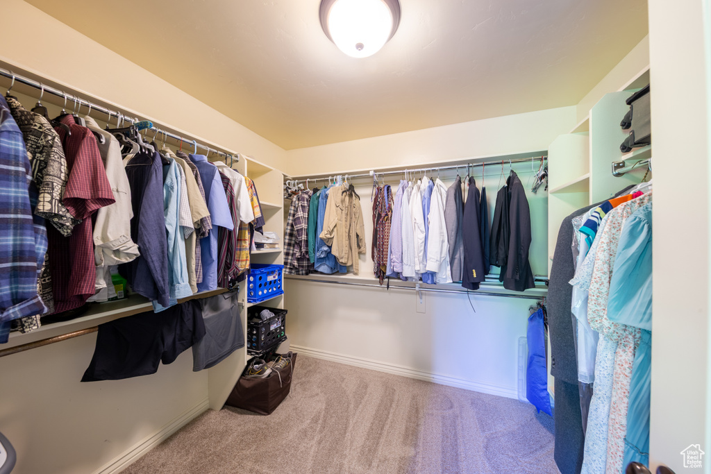 Spacious closet featuring carpet flooring