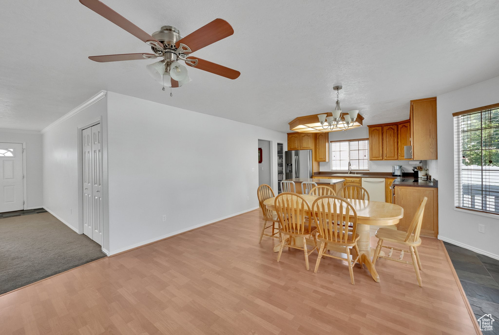 Dining room featuring healthy amount of natural light, light wood-type flooring, a chandelier, and a ceiling fan