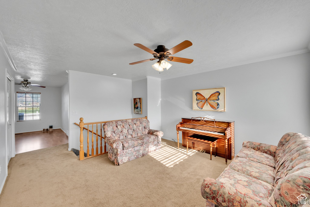 Living area featuring ceiling fan, ornamental molding, and carpet floors