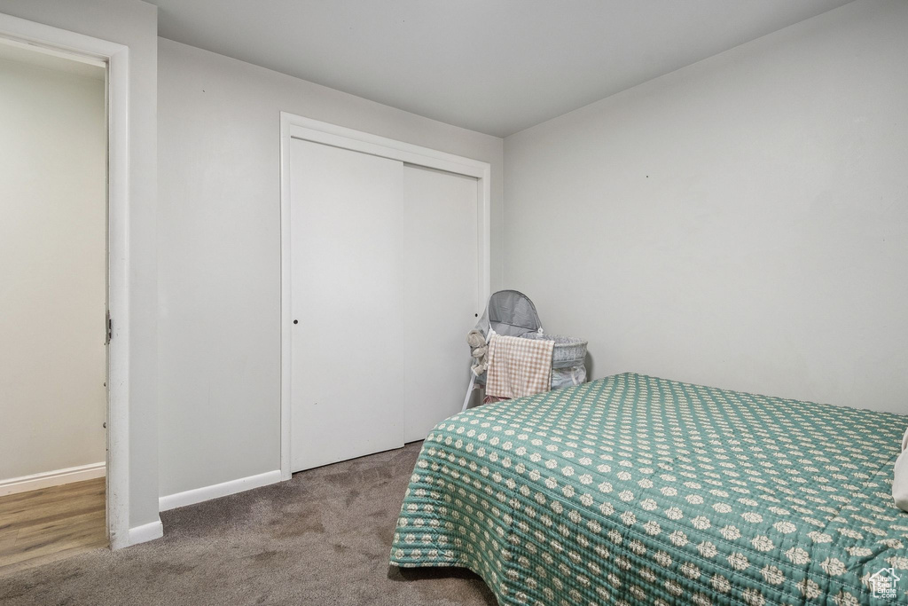 Carpeted bedroom featuring a closet and baseboards