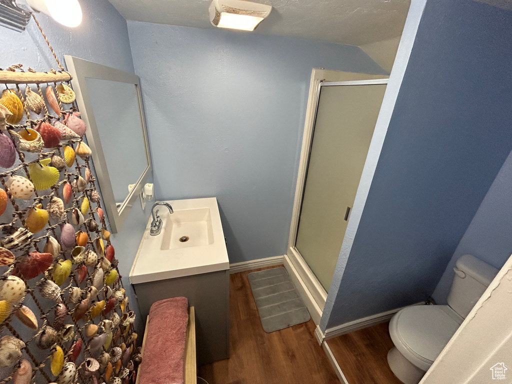 Full bathroom featuring wood finished floors, a stall shower, and vanity