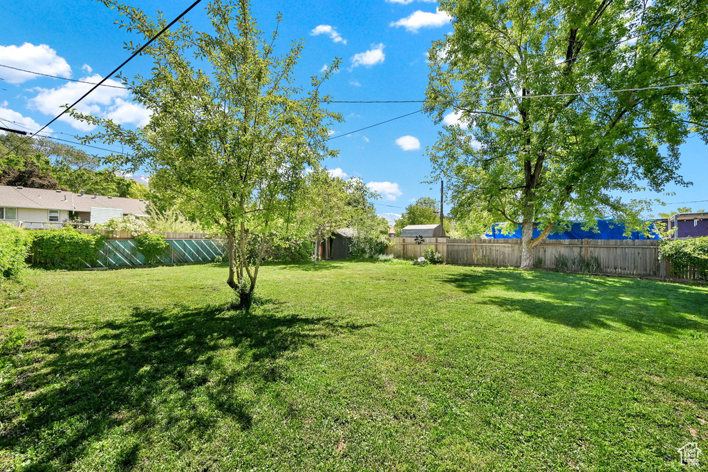 View of fenced backyard