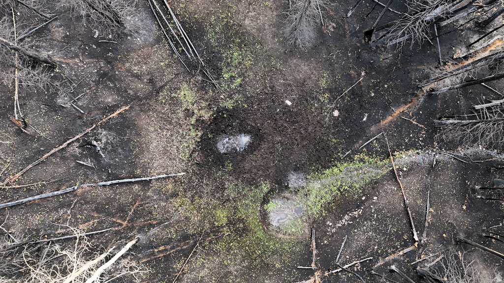 123  TBD MONROE CANYON RD Monroe, UT 84754