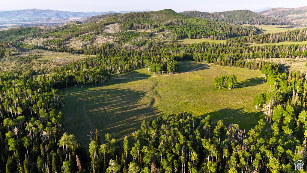 Aerial view of property's location with a mountain backdrop