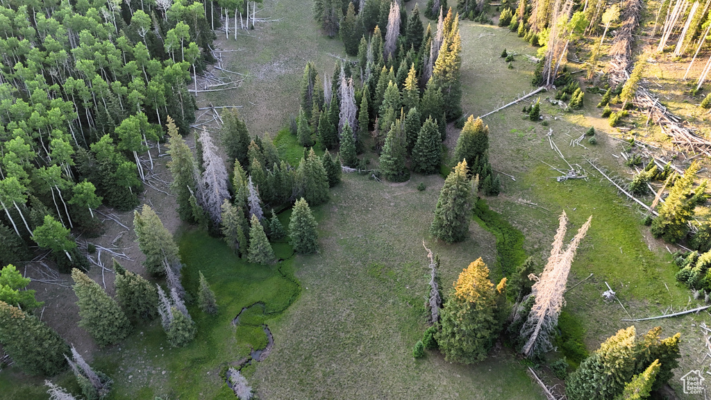 Aerial view of property and surrounding area