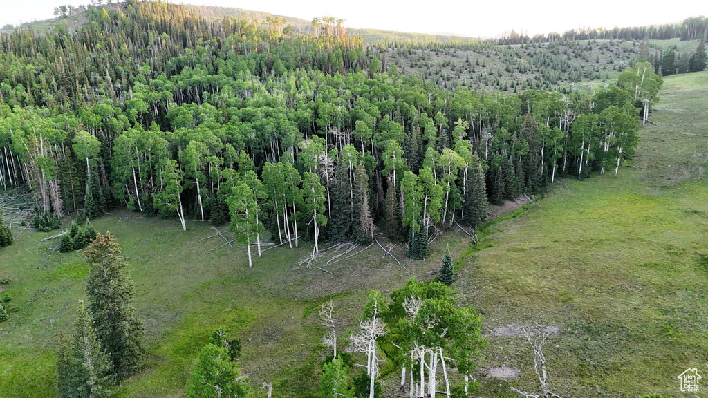 Aerial view of property and surrounding area featuring a heavily wooded area