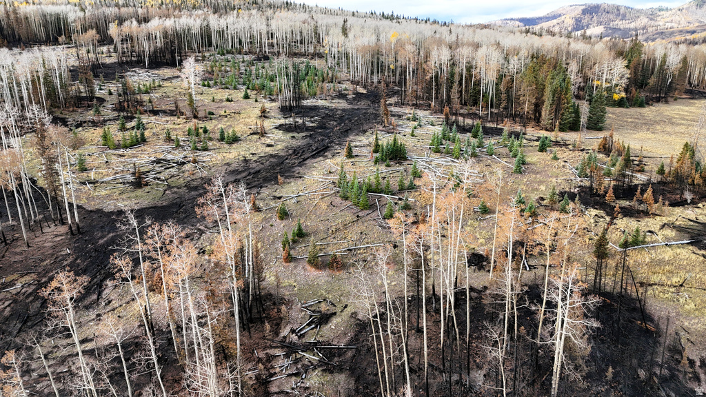 123  TBD MONROE CANYON RD Monroe, UT 84754