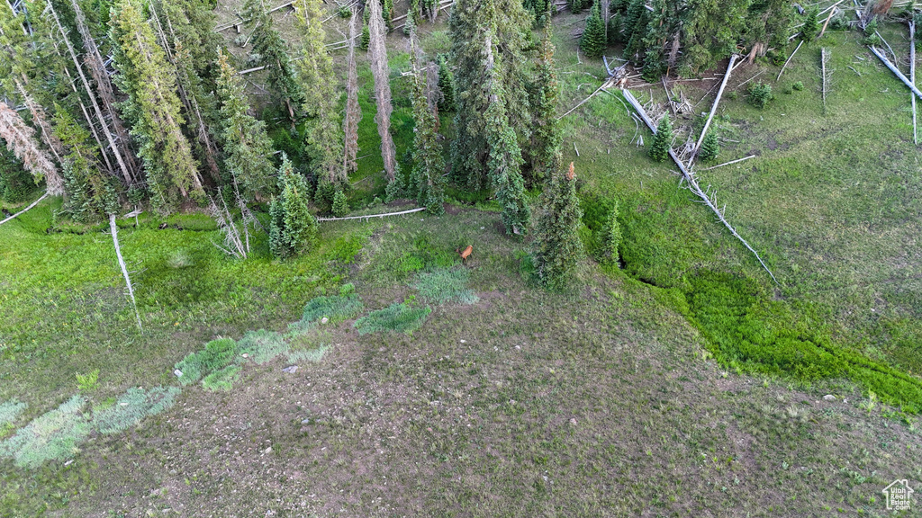 View of nature