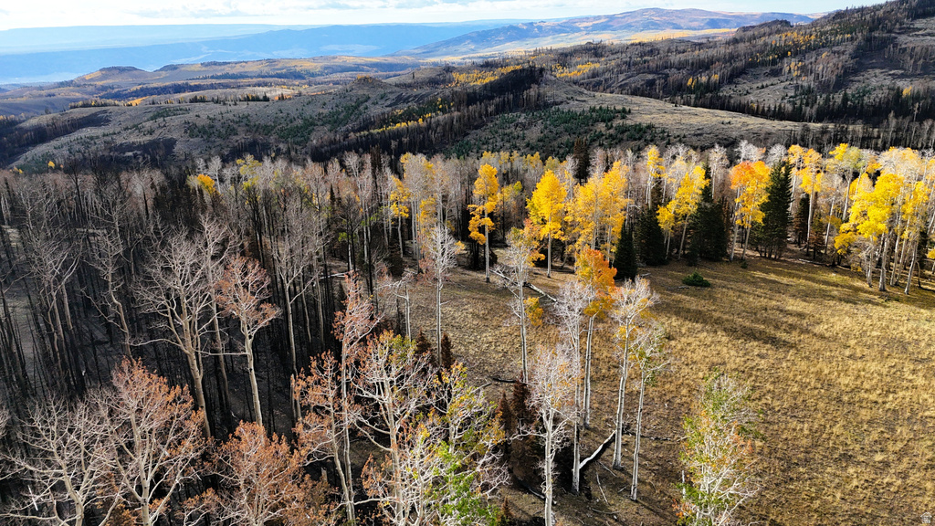 123  TBD MONROE CANYON RD Monroe, UT 84754