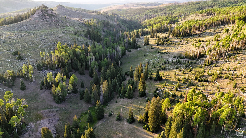 Aerial view of property's location with a mountain backdrop