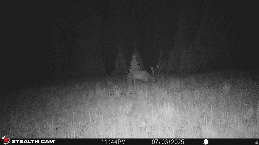 123  TBD MONROE CANYON RD Monroe, UT 84754