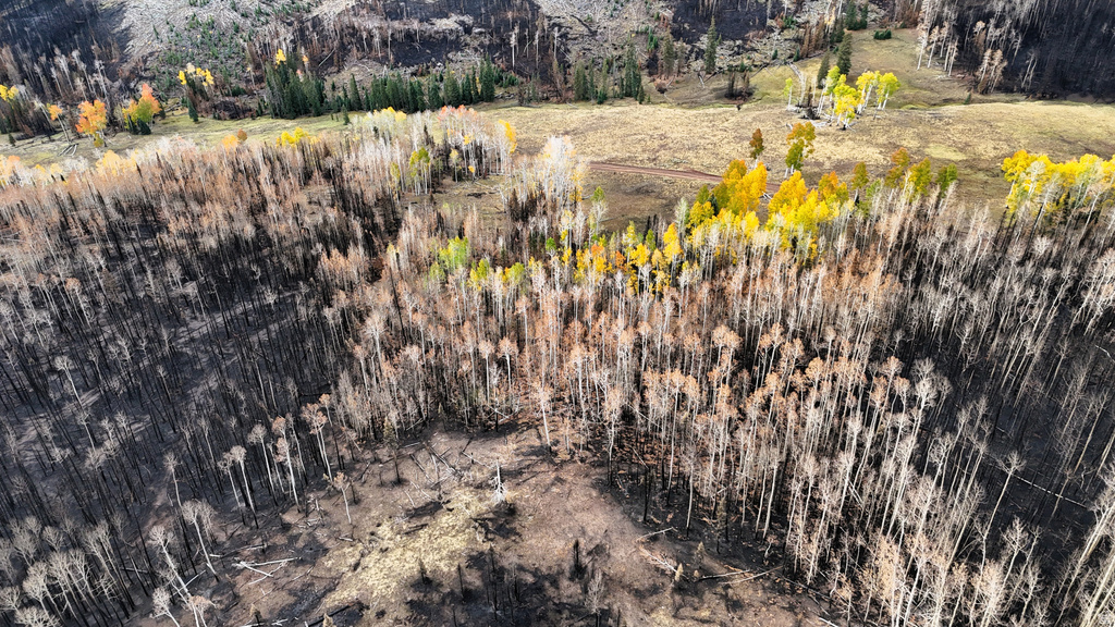 123  TBD MONROE CANYON RD Monroe, UT 84754