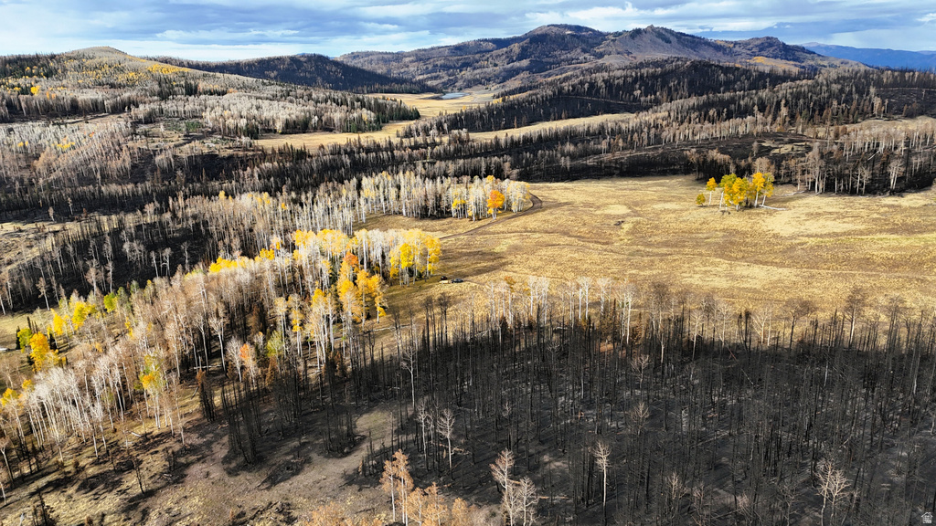 123  TBD MONROE CANYON RD Monroe, UT 84754