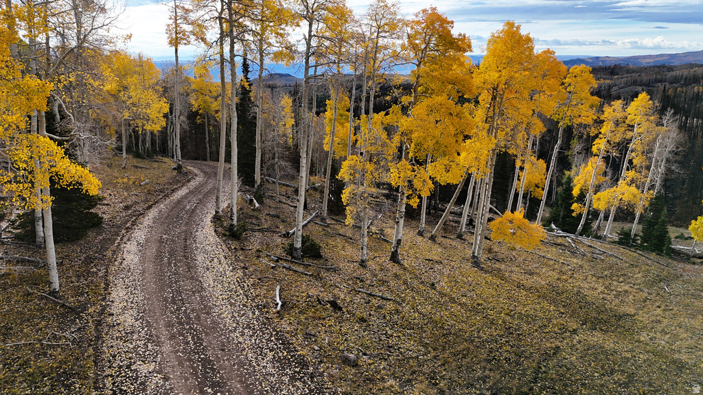 123  TBD MONROE CANYON RD Monroe, UT 84754