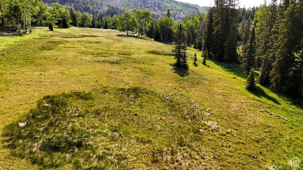 View of mountain backdrop with a forest