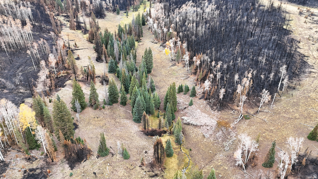 123  TBD MONROE CANYON RD Monroe, UT 84754