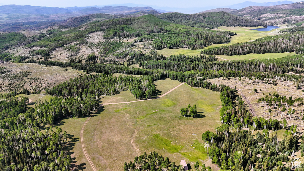 Aerial view of a water and mountain view