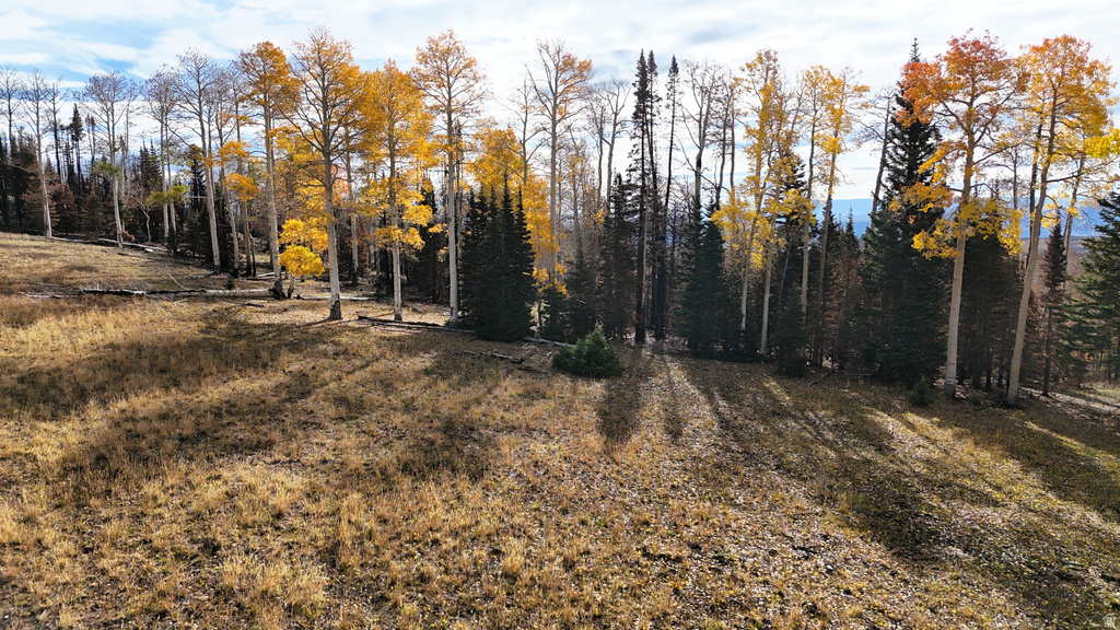 123  TBD MONROE CANYON RD Monroe, UT 84754