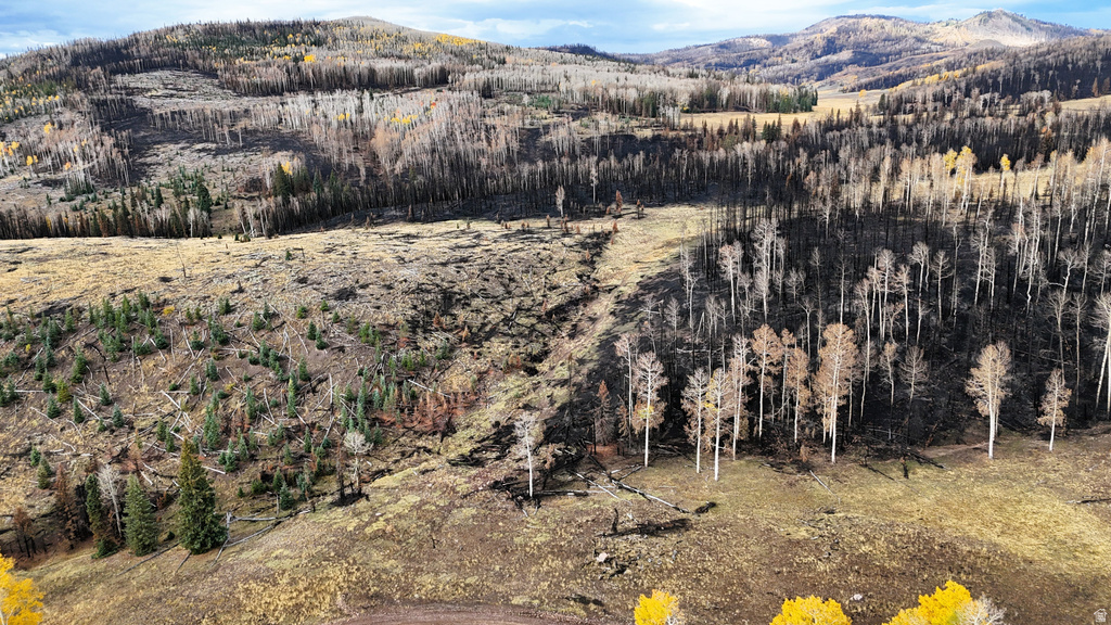 123  TBD MONROE CANYON RD Monroe, UT 84754