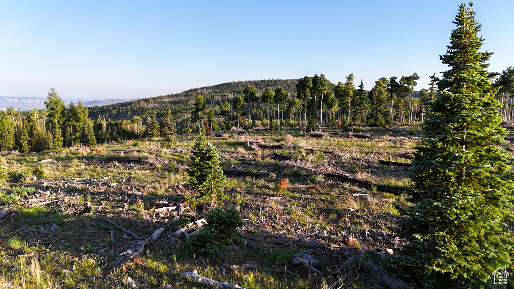 View of mountain backdrop