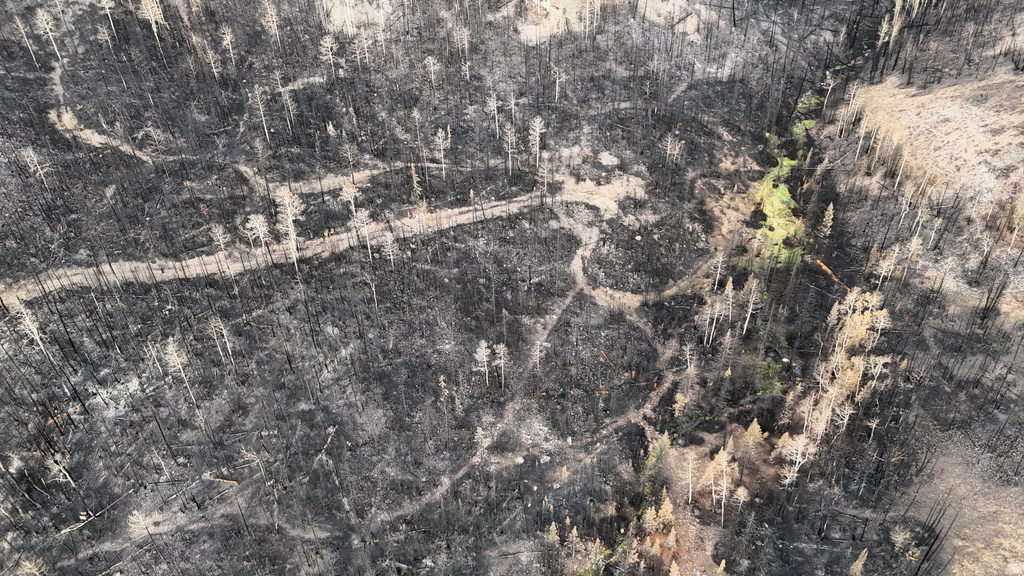 123  TBD MONROE CANYON RD Monroe, UT 84754