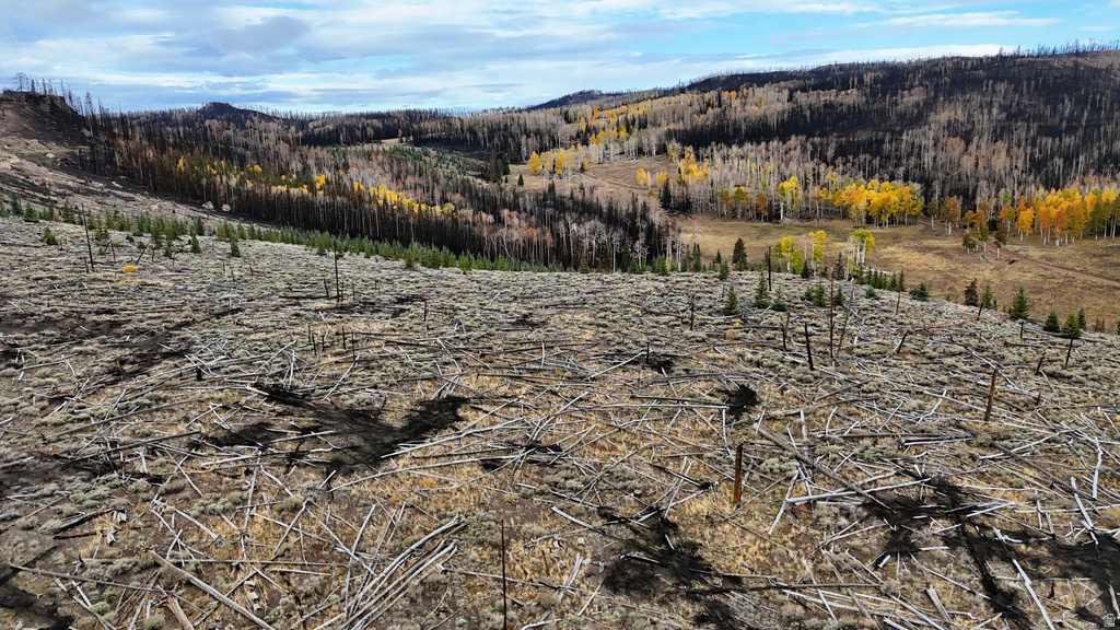 123  TBD MONROE CANYON RD Monroe, UT 84754