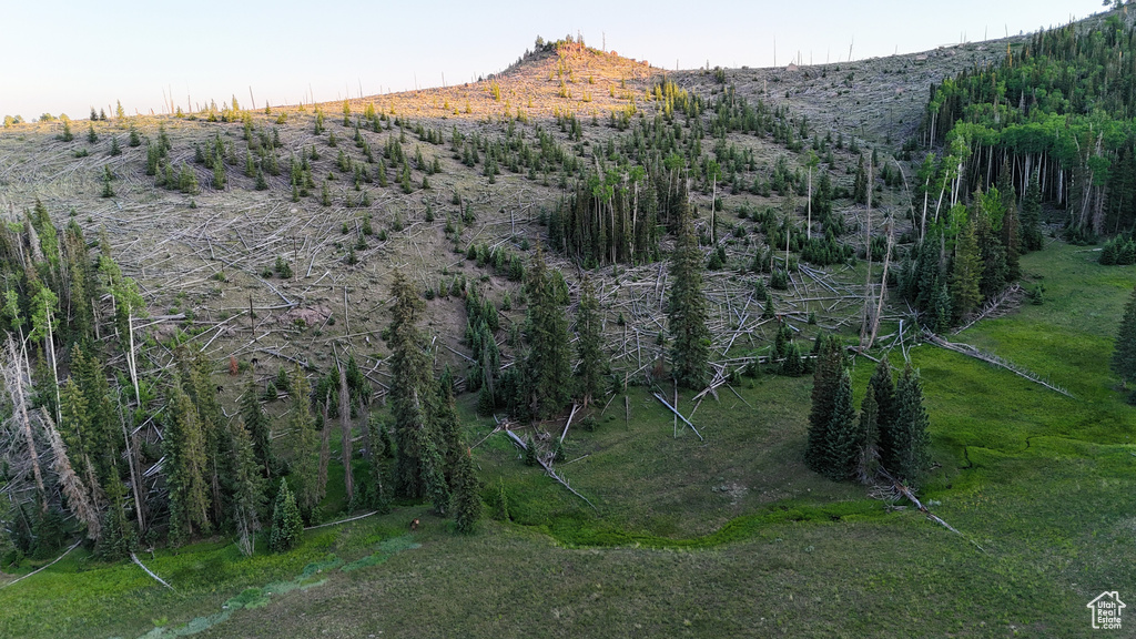 View of mountain background