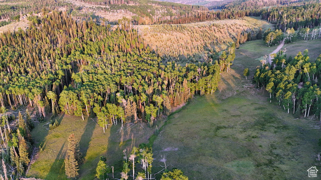 Aerial overview of property's location featuring a forest