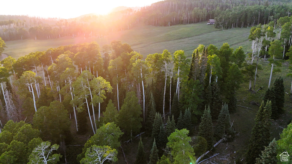 Aerial view of property and surrounding area featuring a heavily wooded area