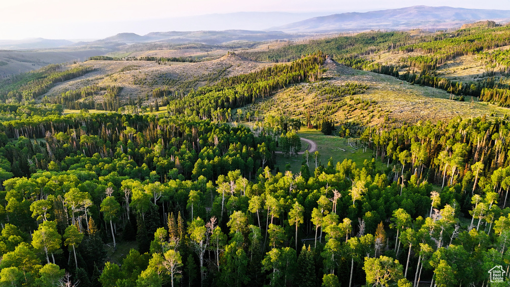 Aerial view of property's location featuring mountains and a forest