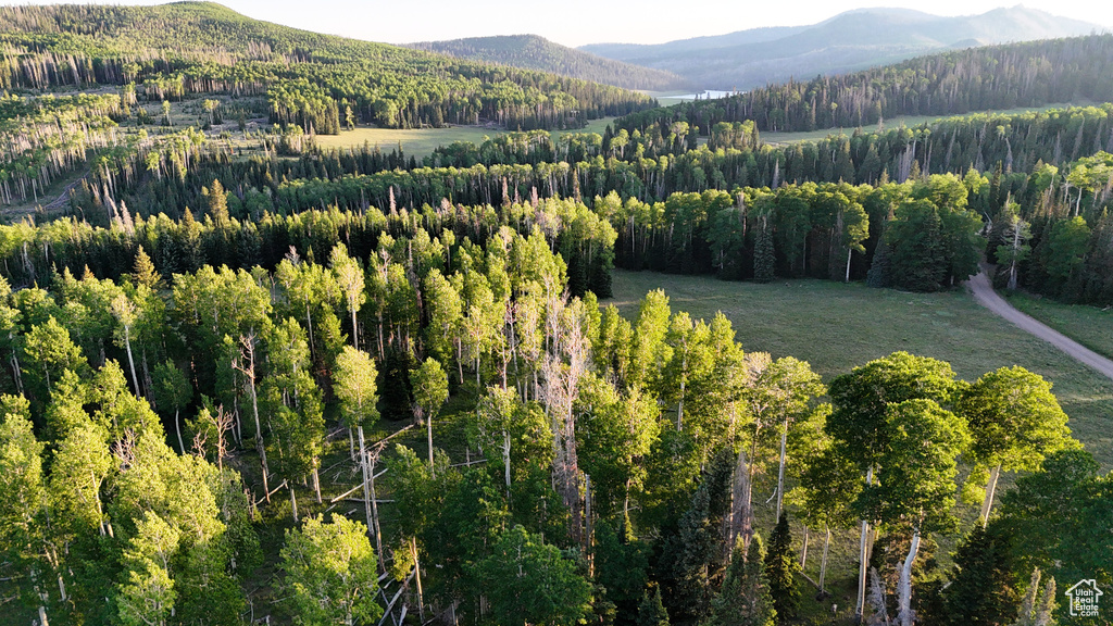 Mountain view featuring a heavily wooded area