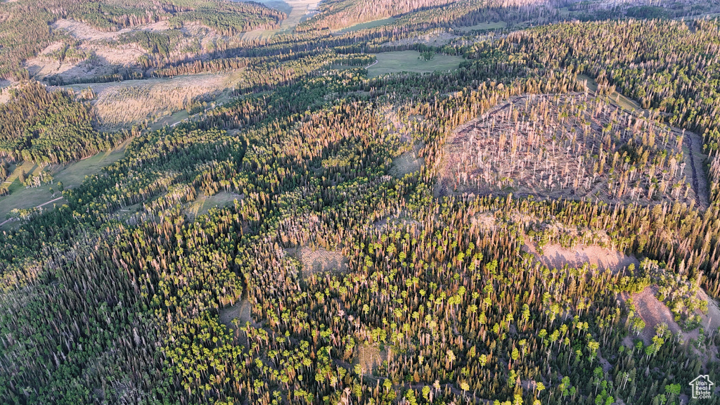 Aerial view of property and surrounding area with a heavily wooded area