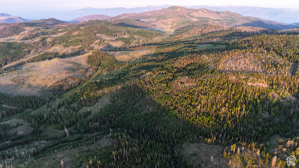 Mountain view featuring a forest