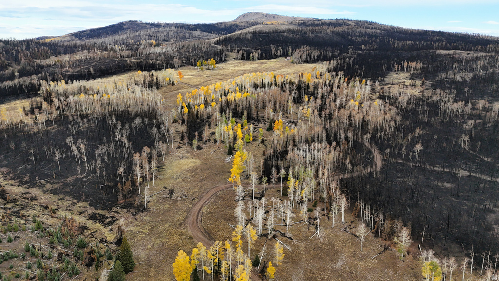 123  TBD MONROE CANYON RD Monroe, UT 84754