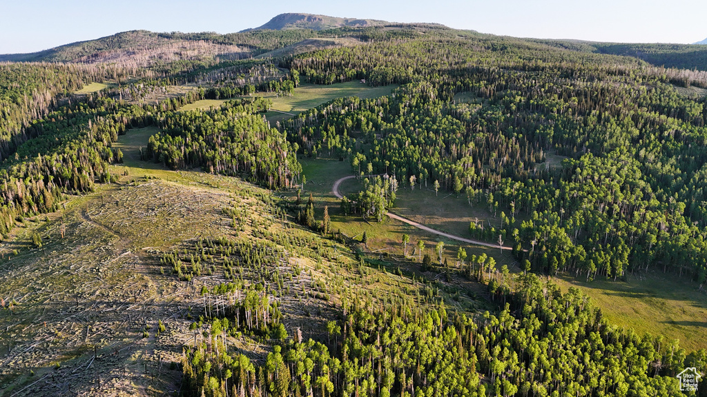 View of mountain background featuring a heavily wooded area