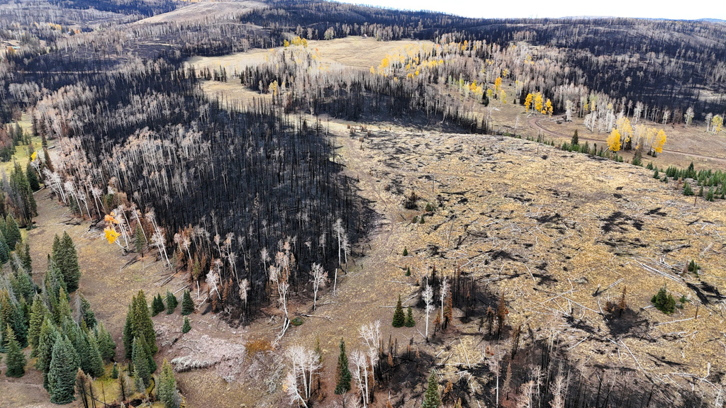 123  TBD MONROE CANYON RD Monroe, UT 84754