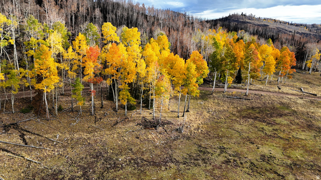 123  TBD MONROE CANYON RD Monroe, UT 84754